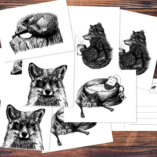 Verschiedene Postkarten mit Zeichnungen von Füchsen