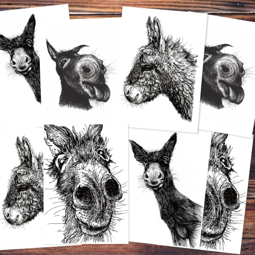 Verschiedene Postkarten mkt Esel-Motiven