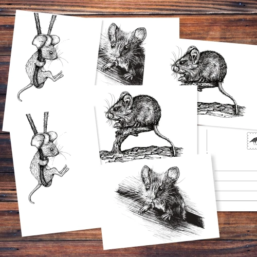 Verschiedene Karten mit Zeichnungen von Mäusen liegen auf einem Holztisch