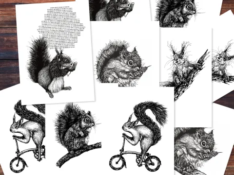 Verschiedene Postkarten mit schwarzen Zeichnungen von Eichhörnchen