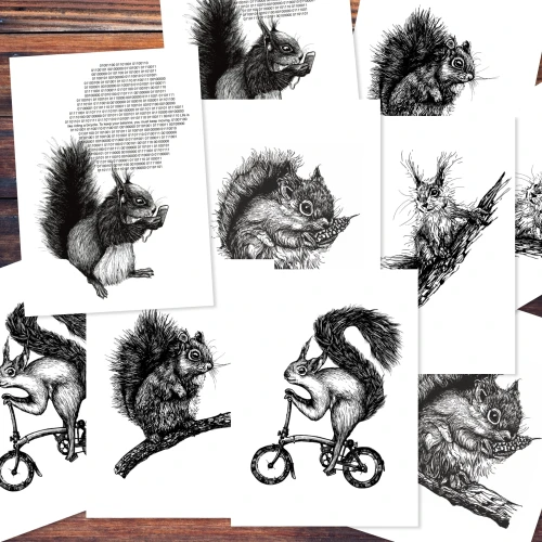 Verschiedene Postkarten mit schwarzen Zeichnungen von Eichhörnchen