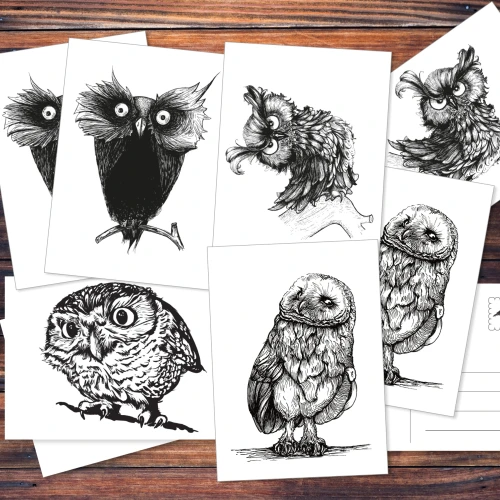 Verschiedene Postkarten von Eulen