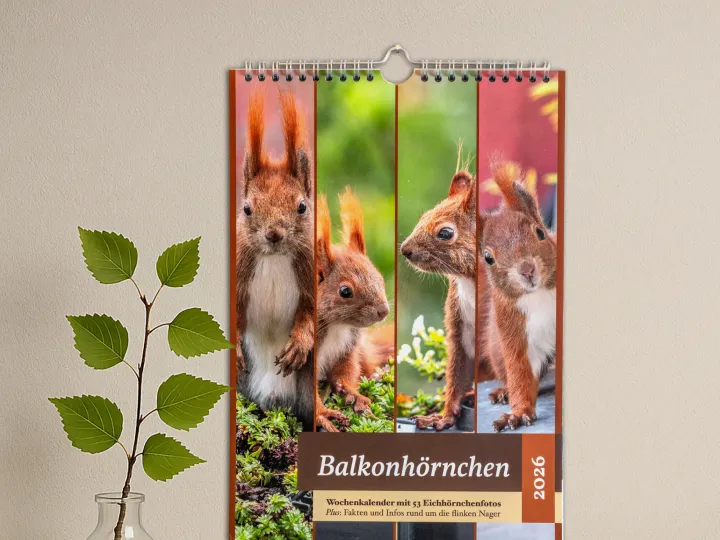 Vorschau auf den Kalender