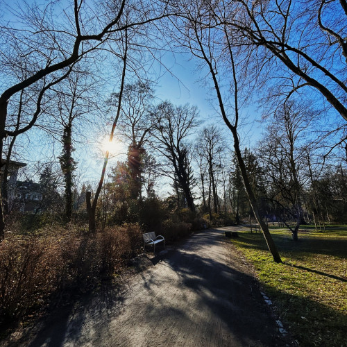 Lange Schatten. Ein Weg im Park. Links Sträucher, rechts eine Wiese.