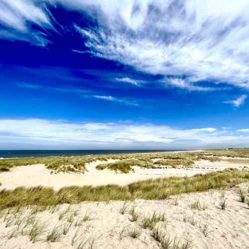 Die Hälfte des Bildes nimmt der blaue Himmel mit Schleierwolken ein. Die anderen Hälfte zeigt hellen Dünensand mit Strandhafer.
