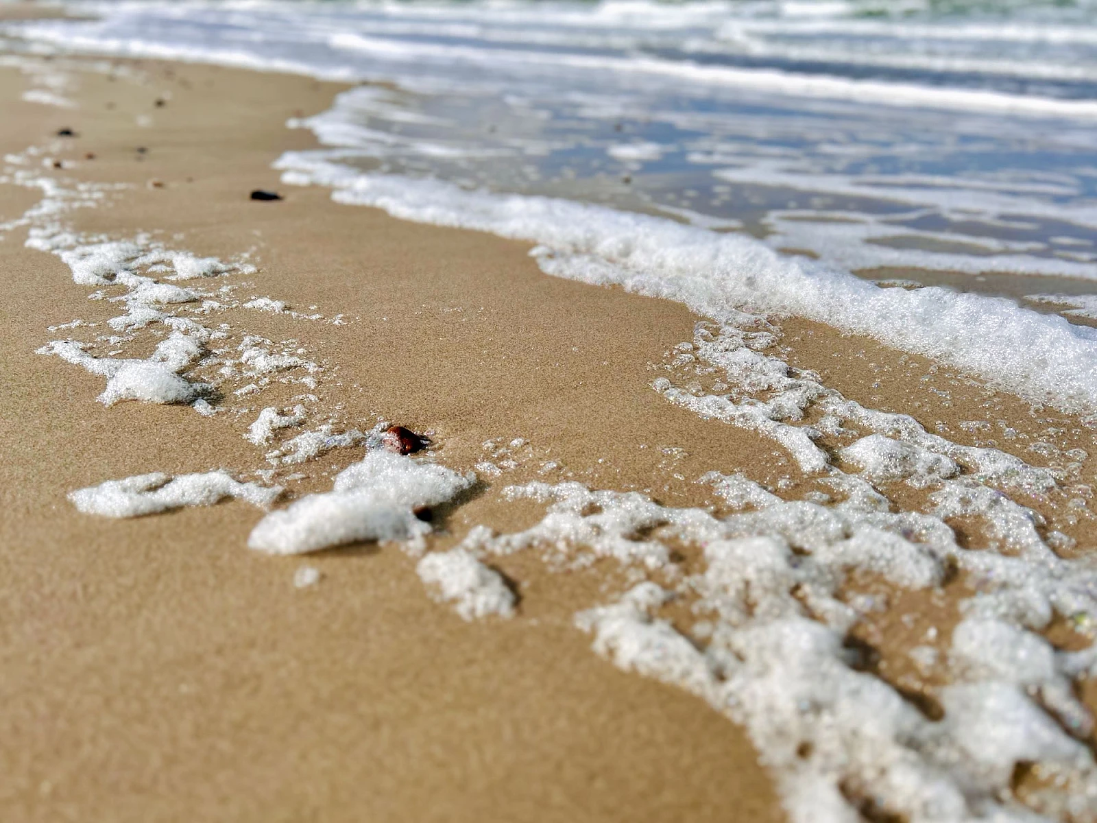 Weißer Schaum auf braunem Strandsand.