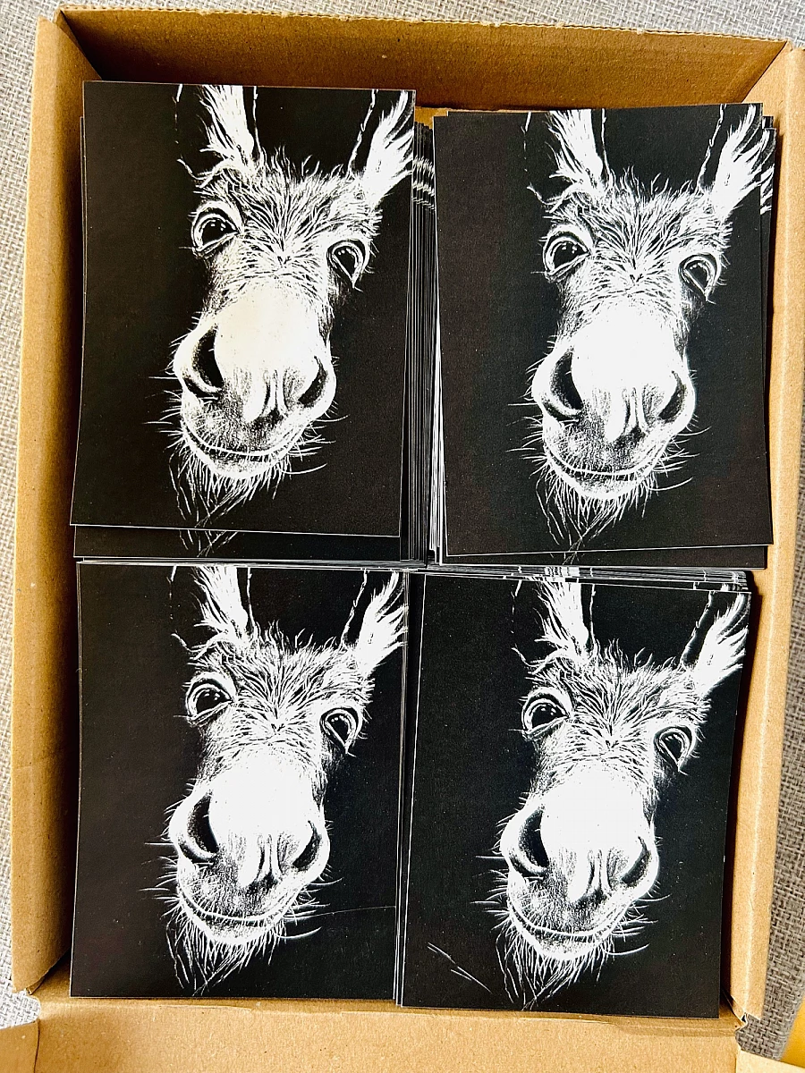 In einem Karton stehen vier Stapel rechteckiger Aufkleber nebeneinander. Der Aufkleber selbst zeigt die weiße Zeichnung eines freundlichen dreinschauenden Esels auf schwarzem Grund.