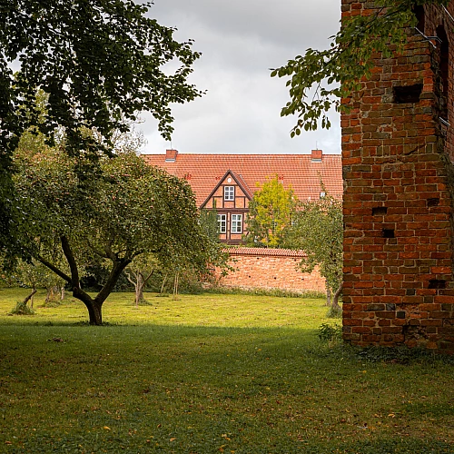 Blick auf den Klosterpark