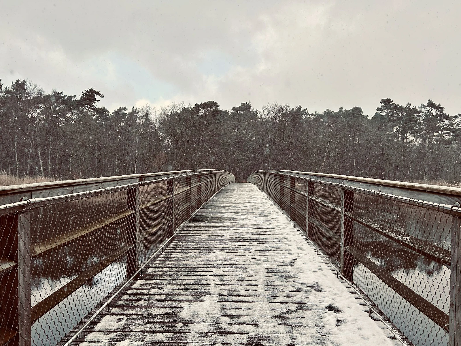 Blick auf die mit Schnee bedeckte Brücke über den Prerower Strom an deren Ende sich ein Waldgebiet anschließt. Der Himmel ist bedeckt. Kleine Schneeflocken sind in der Luft.