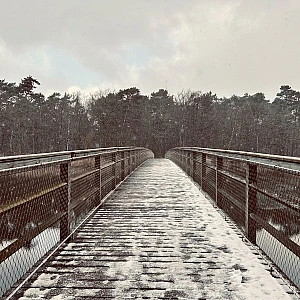 Blick auf die mit Schnee bedeckte Brücke über den Prerower Strom an deren Ende sich ein Waldgebiet anschließt. Der Himmel ist bedeckt. Kleine Schneeflocken sind in der Luft.