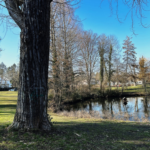 Park mit kleinem Teich