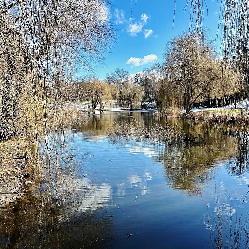 Winterliche Runde durch den Thielpark