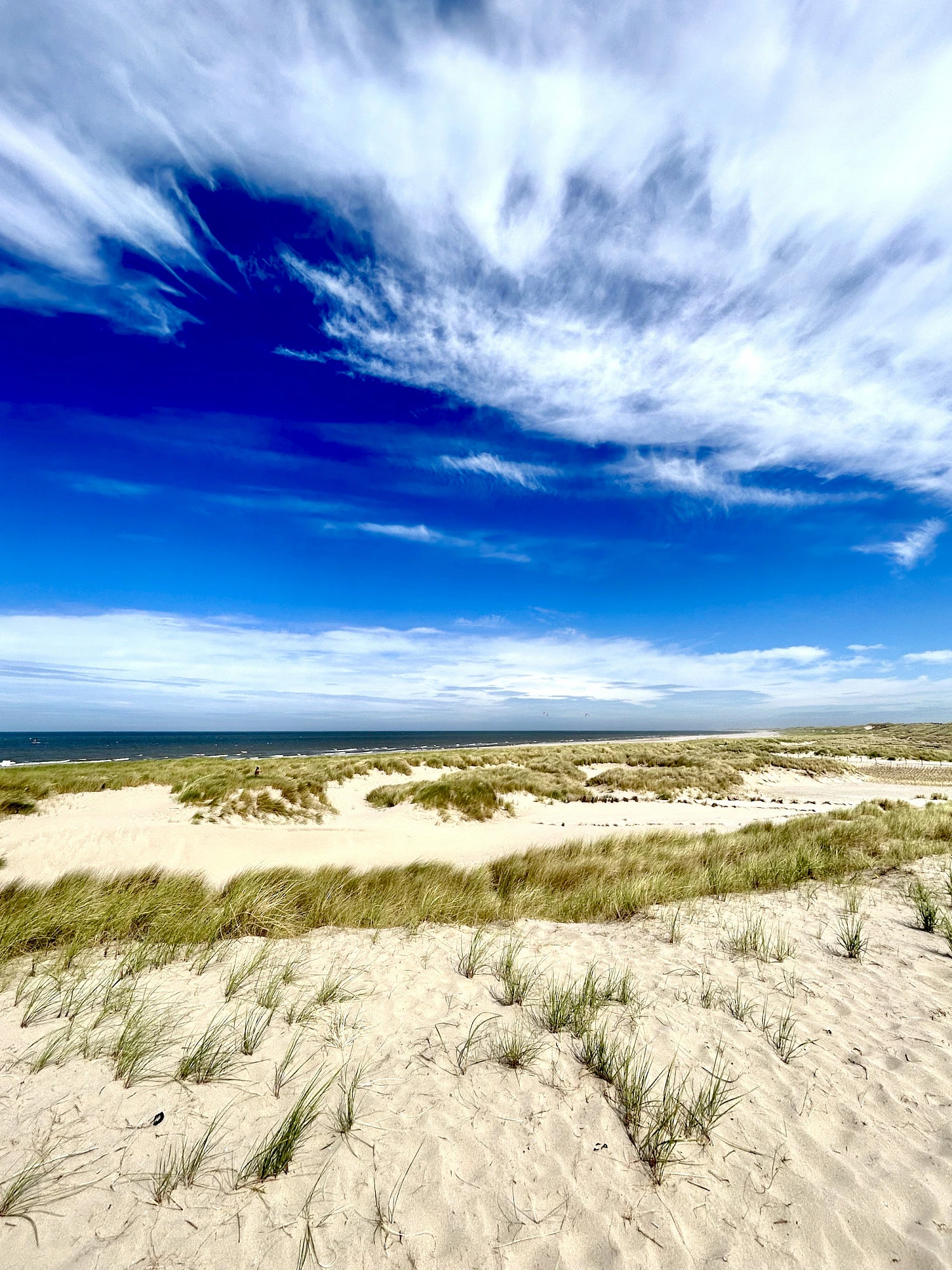 Die Hälfte des Bildes nimmt der blaue Himmel mit Schleierwolken ein. Die anderen Hälfte zeigt hellen Dünensand mit Strandhafer.