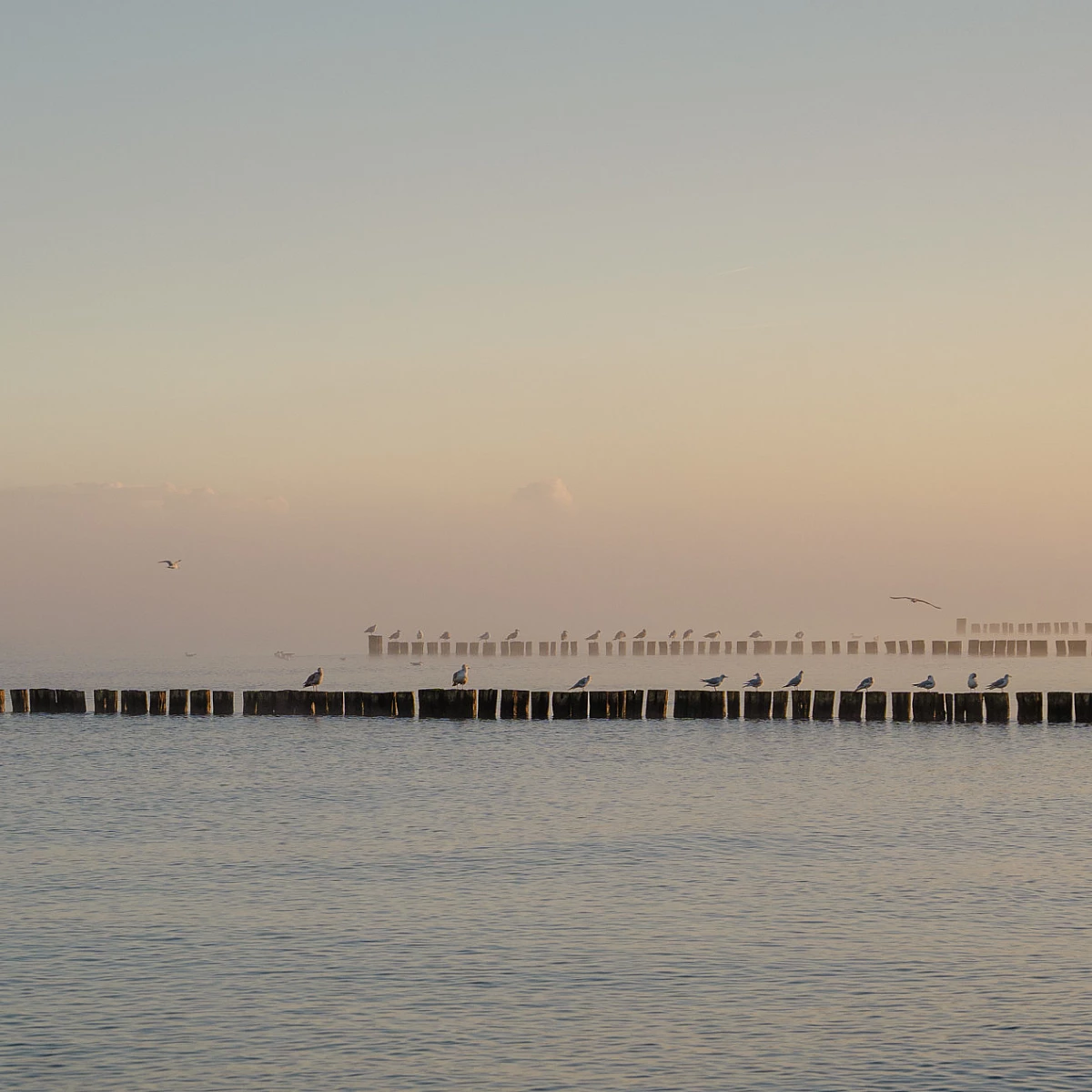 Blick auf die Ostsee im Nebel