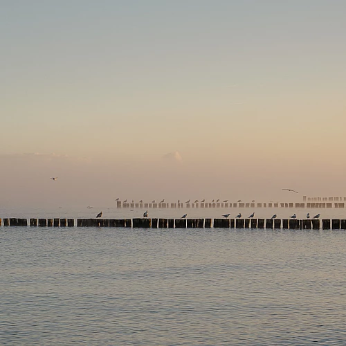 Blick auf die Ostsee im Nebel