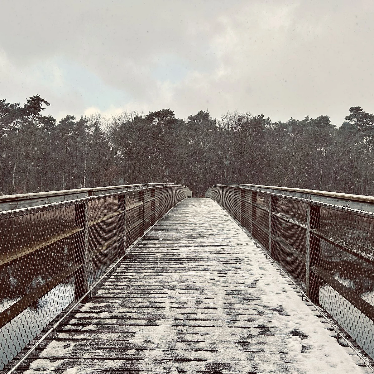 Blick auf die mit Schnee bedeckte Brücke über den Prerower Strom an deren Ende sich ein Waldgebiet anschließt. Der Himmel ist bedeckt. Kleine Schneeflocken sind in der Luft.