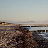 Blick auf das nebelige Meer