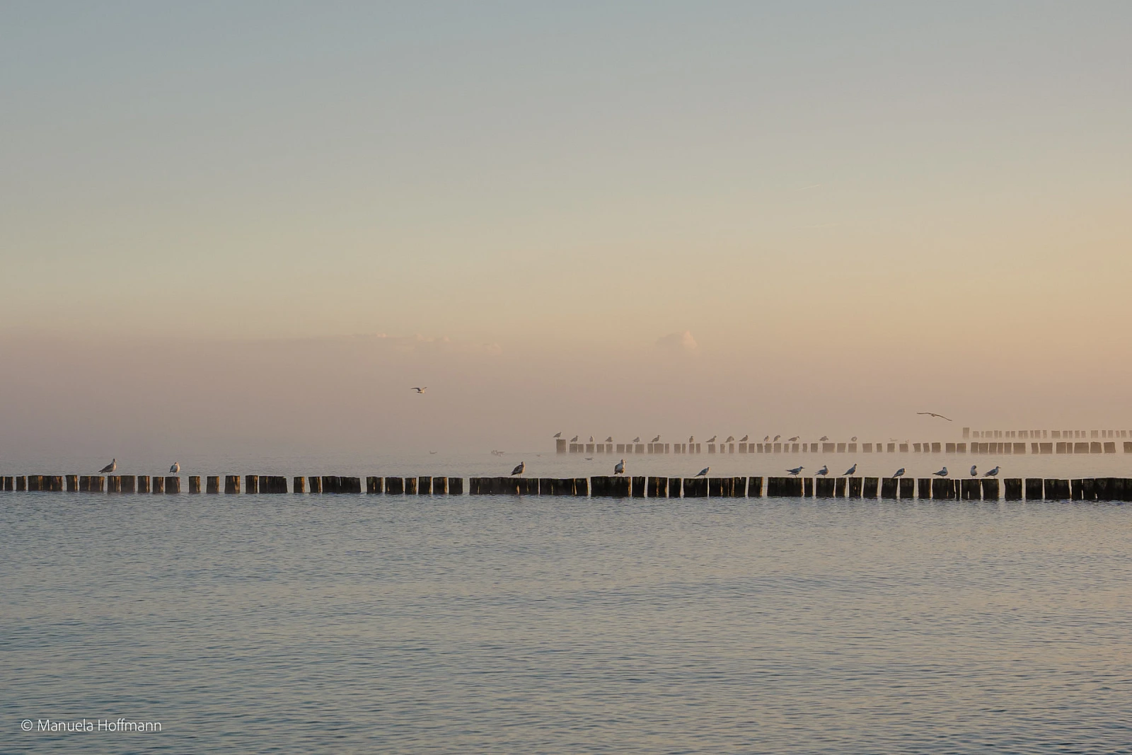 Blick auf die Ostsee im Nebel