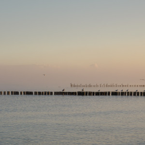 Blick auf die Ostsee im Nebel