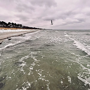 Zwei Drittel stürmisches grünes Meer, ein Drittel wolkenverhangener Himmel. Eine Möwe ist on der Luft.