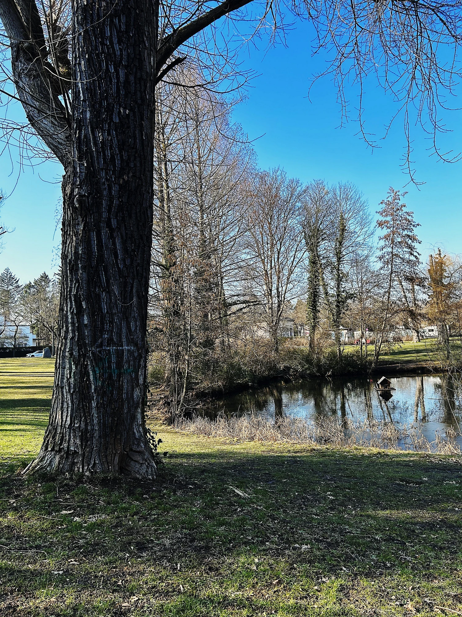 Park mit kleinem Teich