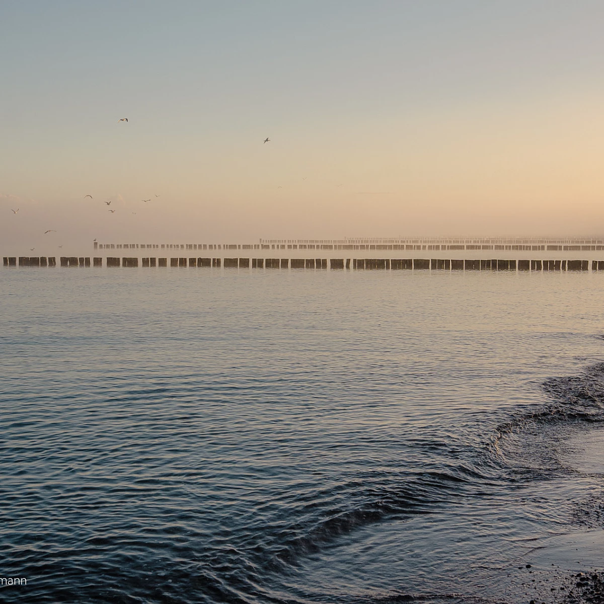 Blick auf die Ostsee im Nebel