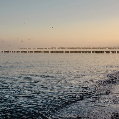 Blick auf die Ostsee im Nebel