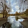 Foto eines Teiches. Am Ufer kahle Bäume und Sträucher, der Himmel ist wolkenverhangen.