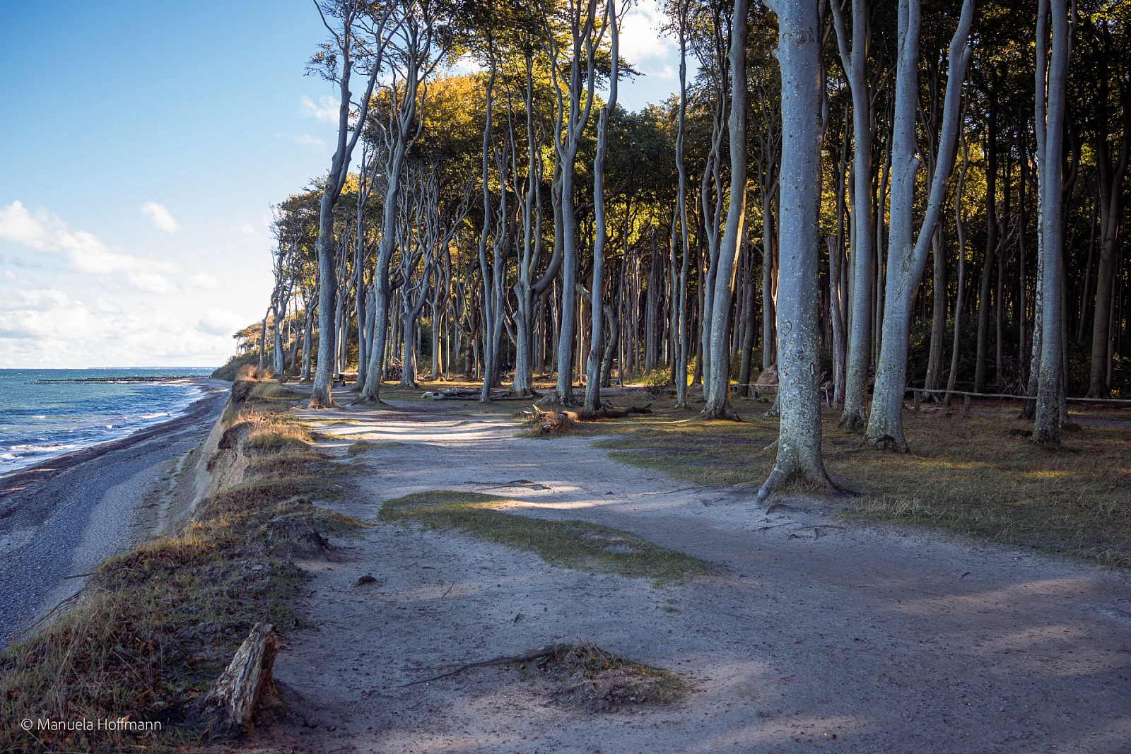 Blick auf den Gespensterwald