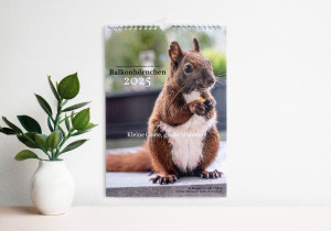 Illustration: Der Kalender hängt an einer Wand. Darunter ein Tisch mit einer Pflanze.