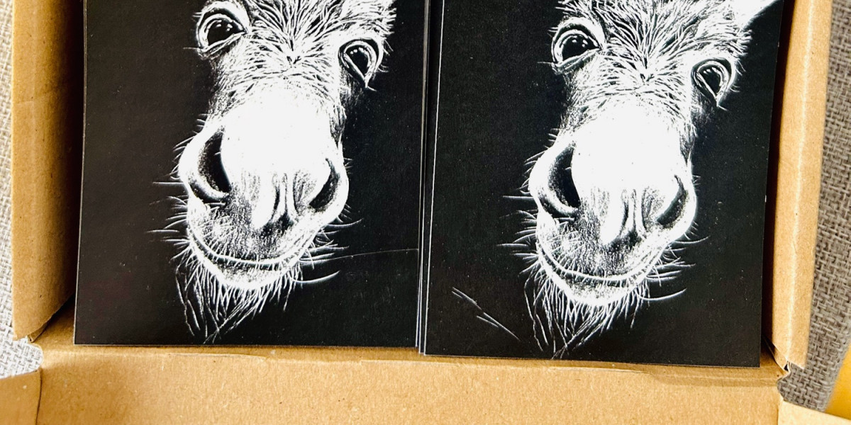 In einem Karton stehen vier Stapel rechteckiger Aufkleber nebeneinander. Der Aufkleber selbst zeigt die weiße Zeichnung eines freundlichen dreinschauenden Esels auf schwarzem Grund.