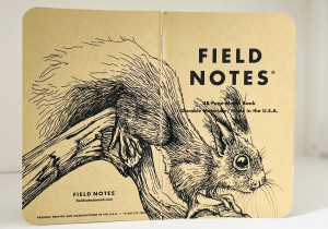 Ein aufgeklapptes Field Notes Heft. Über den Rücken erstreckt sich die schwarze Tintezeichnung eines Eichhörnchens, das von links nach rechts auf einem Ast sitzt.