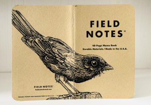 Foto eines stehenden und aufgeklappten Field Notes Heftes. Über den Rücken erstreckt sich die schwarze Tintezeichnung einer Amsel, die nach rechts schaut.