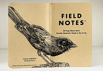 Foto eines stehenden und aufgeklappten Field Notes Heftes. Über den Rücken erstreckt sich die schwarze Tintezeichnung einer Amsel, die nach rechts schaut.