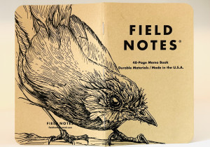 Foto eines stehenden und aufgeklappten Field Notes Heftes. Über den Rücken erstreckt sich die schwarze Tintezeichnung eines Rotkehlchens, das geduckt nach rechts schaut.