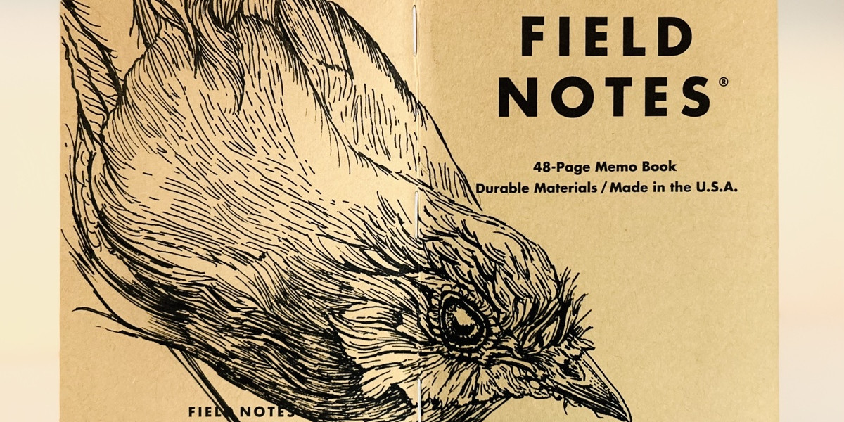 Foto eines stehenden und aufgeklappten Field Notes Heftes. Über den Rücken erstreckt sich die schwarze Tintezeichnung eines Rotkehlchens, das geduckt nach rechts schaut.