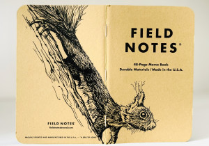 Foto eines stehenden und aufgeklappten Field Notes Heftes. Über den Rücken erstreckt sich die schwarze Tintezeichnung eines kleinen Eichhörnchens, das an einem Baum abwärts klettert und den Kopf nach vorn streckt.