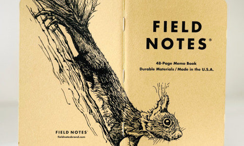 Foto eines stehenden und aufgeklappten Field Notes Heftes. Über den Rücken erstreckt sich die schwarze Tintezeichnung eines kleinen Eichhörnchens, das an einem Baum abwärts klettert und den Kopf nach vorn streckt.