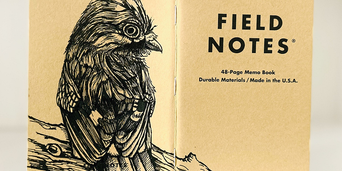 Foto eines stehenden und aufgeklappten Field Notes Heftes. Über den Rücken erstreckt sich die schwarze Tintezeichnung eines Eichelhähers, der etwas aufgeplustert nach rechts schaut.