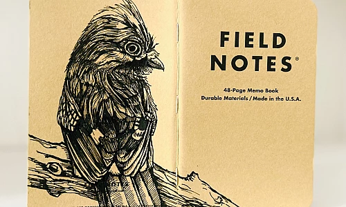 Foto eines stehenden und aufgeklappten Field Notes Heftes. Über den Rücken erstreckt sich die schwarze Tintezeichnung eines Eichelhähers, der etwas aufgeplustert nach rechts schaut.