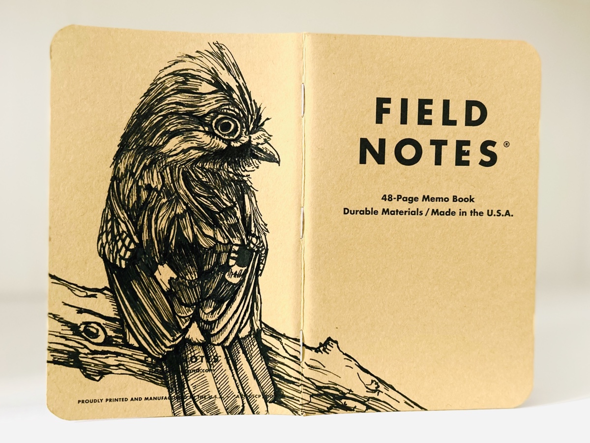 Foto eines stehenden und aufgeklappten Field Notes Heftes. Über den Rücken erstreckt sich die schwarze Tintezeichnung eines Eichelhähers, der etwas aufgeplustert nach rechts schaut.
