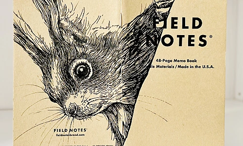 Ein aufgeklapptes Field Notes Heft auf dessen Rücken aus Kraft-Papier sich die schwarze Zeichnung eines Eichhörnchenkopfes erstreckt.