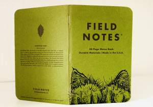 Ein aufrecht stehendes und aufgeklapptes grünes Field Notes Heft, auf dem am unteren rechten Rand zwei haarige Katzenpfoten und dahinter zwei Ohren zu sehen sind.