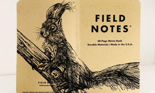 Foto eines aufgeklappten Field Notes Heftes mit Kraft-Papier-Deckel. Die Zeichnung erstreckt sich über den gesamten Buchdeckel und zeigt die detaillierte Illustration eines Eichhörnchens, das auf einem Ast sitzt und aufmerksam aufrecht sitzend nach links schaut.