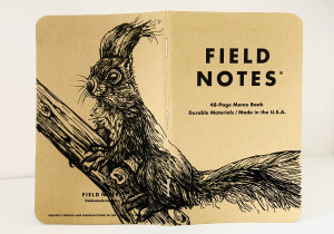 Foto eines aufgeklappten Field Notes Heftes mit Kraft-Papier-Deckel. Die Zeichnung erstreckt sich über den gesamten Buchdeckel und zeigt die detaillierte Illustration eines Eichhörnchens, das auf einem Ast sitzt und aufmerksam aufrecht sitzend nach links schaut.
