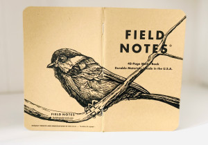 Foto eines stehenden und aufgeklappten Field Notes Heftes. Über den Rücken erstreckt sich die schwarze Tintezeichnung einer kleinen Meise, die auf einem Ast sitzt.