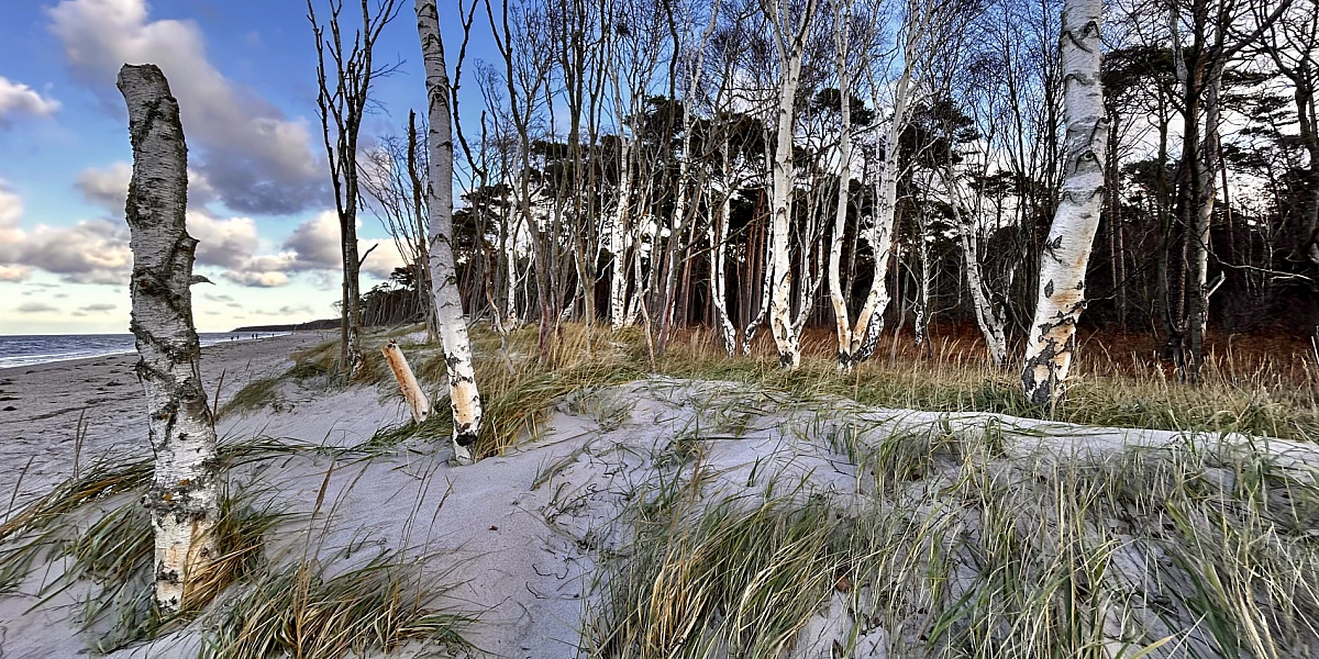 Foto der Ostsee. Eine Holzbuhne versinkt in Wellen, am Stand liegt Schaum.