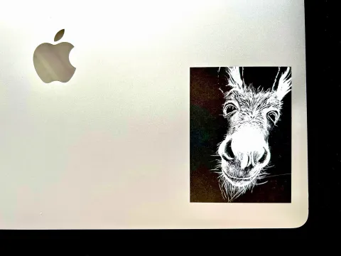 Foto der rechten unteren Ecke eines MacBooks, auf dem der Aufkleber klebt. Der Aufkleber selbst zeigt die weiße Zeichnung eines freundlichen dreinschauenden Esels auf schwarzem Grund.