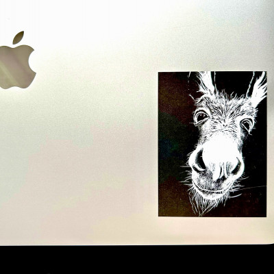 Foto der rechten unteren Ecke eines MacBooks, auf dem der Aufkleber klebt. Der Aufkleber selbst zeigt die weiße Zeichnung eines freundlichen dreinschauenden Esels auf schwarzem Grund.