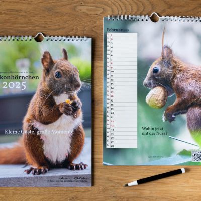 Zwei Kalender auf einer Holztischplatte. Einer aufgeklappt. Daneben ein Kugelschreiber.